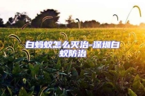 白螞蟻怎么滅治-深圳白蟻防治