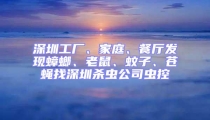 深圳工廠、家庭、餐廳發現蟑螂、老鼠、蚊子、蒼蠅找深圳殺蟲公司蟲控