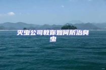 滅蟲公司教你如何防治臭蟲