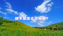 地下室怎么滅蟑螂？
