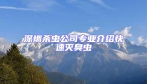 深圳殺蟲公司專業介紹快速滅臭蟲