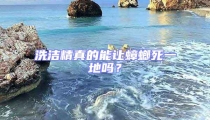 洗潔精真的能讓蟑螂死一地嗎？