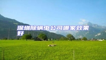 深圳除螨蟲公司哪家效果好
