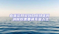 春暖花開又到白蟻肆虐時 消除蟻患要請專業(yè)人士