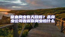 吸血臭蟲有天敵嗎？殺臭蟲公司告訴你臭蟲怕什么