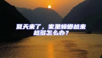 夏天來了，家里蟑螂越來越多怎么辦？