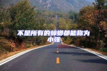 不是所有的蟑螂都能稱為小強(qiáng)