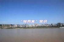 “除四害”常識