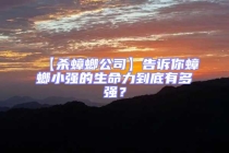 【殺蟑螂公司】告訴你蟑螂小強(qiáng)的生命力到底有多強(qiáng)？