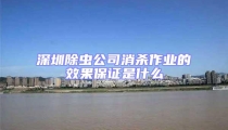 深圳除蟲公司消殺作業的效果保證是什么