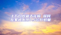 上萬(wàn)白蟻藏天花板 居民在家被發(fā)現(xiàn)7.5公斤蟻巢