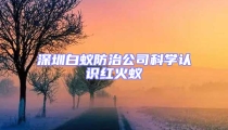 深圳白蟻防治公司科學認識紅火蟻