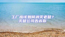 工廠應該如何消滅老鼠？滅鼠公司告訴你