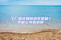 工廠應(yīng)該如何消滅老鼠？滅鼠公司告訴你