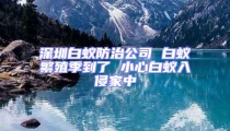 深圳白蟻防治公司 白蟻繁殖季到了 小心白蟻入侵家中