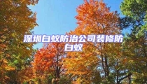 深圳白蟻防治公司裝修防白蟻