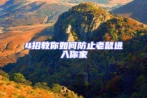 4招教你如何防止老鼠進入你家