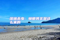 深圳殺蟲：蟑螂其實(shí)是這么來的