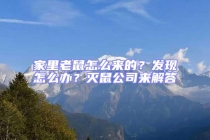 家里老鼠怎么來的？發(fā)現(xiàn)怎么辦？滅鼠公司來解答