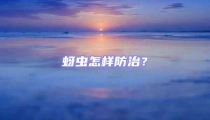 蚜蟲(chóng)怎樣防治？