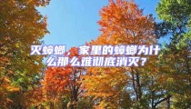 滅蟑螂，家里的蟑螂為什么那么難徹底消滅？