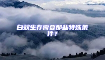 白蟻生存需要那些特殊條件？