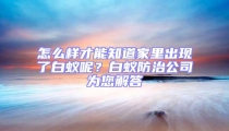 怎么樣才能知道家里出現了白蟻呢？白蟻防治公司為您解答