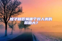 蚊子和蒼蠅哪個對人類的幫助大？
