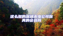 這么多的深圳殺蟲公司你真的會(huì)選嗎