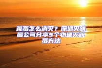 跳蚤怎么消滅？深圳滅跳蚤公司分享5個物理滅跳蚤方法