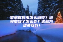 家里有臭蟲怎么消滅？被臭蟲咬了怎么辦？這些方法請收好！