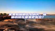 家里有蟑螂怎么消滅，蟑螂藥放在哪里更有效？