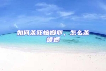 如何殺死蟑螂卵，怎么殺蟑螂