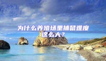 為什么養(yǎng)殖場里捕鼠難度這么大？