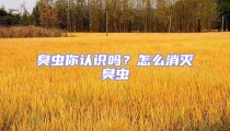 臭蟲(chóng)你認(rèn)識(shí)嗎？怎么消滅臭蟲(chóng)