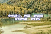 專業除蟲、滅鼠、滅蟑螂、家庭滅鼠、滅白蟻