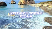 深圳滅蟲公司,家里有螞蟻怎么辦