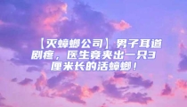 【滅蟑螂公司】男子耳道劇疼，醫(yī)生竟夾出一只3厘米長的活蟑螂！