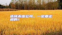 選擇殺蟲公司，一定要正規的！