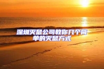 深圳滅鼠公司教你幾個簡單的滅鼠方式