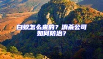 白蟻怎么來的？消殺公司如何防治？