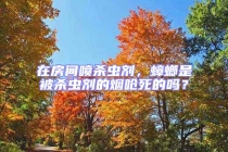 在房間噴殺蟲劑，蟑螂是被殺蟲劑的煙嗆死的嗎？