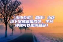 【殺蟲公司】恐怖！小區(qū)地下室成跳蚤成災，半分鐘就可以爬滿腿部！