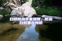 白蟻防治專家提醒；防治白蟻重在預防