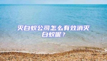 滅白蟻公司怎么有效消滅白蟻呢？