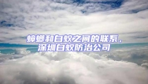蟑螂和白蟻之間的聯(lián)系，深圳白蟻防治公司