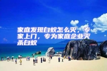 家庭發(fā)現(xiàn)白蟻怎么滅，專(zhuān)家上門(mén)，專(zhuān)為家庭企業(yè)滅殺白蟻