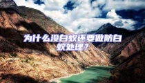 為什么沒白蟻還要做防白蟻處理？