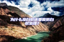 為什么沒白蟻還要做防白蟻處理？