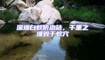 深圳白蟻防治站，千里之堤毀于蟻穴